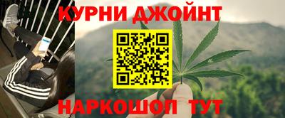 сатива Гусь-Хрустальный