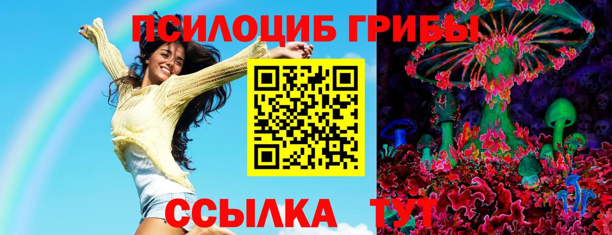 Псилоцибиновые грибы Magic Shrooms Ессентуки