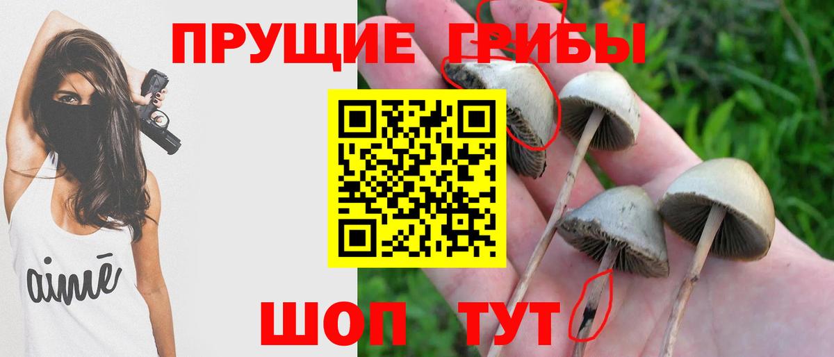 Галлюциногенные грибы MAGIC MUSHROOMS  Вход с VPN  Ессентуки 
